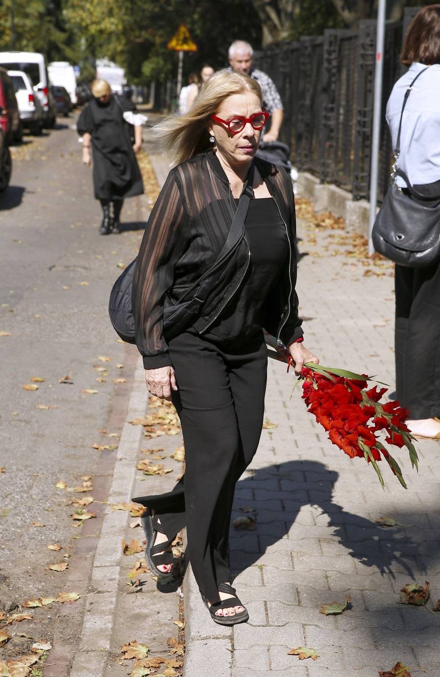 Tłumy gwiazd żegnają Stanisława Sojkę! Szroeder, Królikowska, Olejnik, Zamachowski…(FOTO)