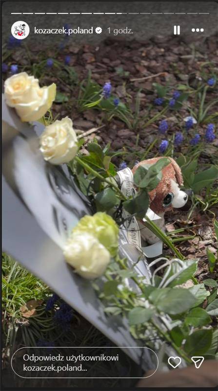 Staż marszałkowska nakazuje usunąć kwiaty w hołdzie dla posła Litewki, fot. Kozaczek Exclusive