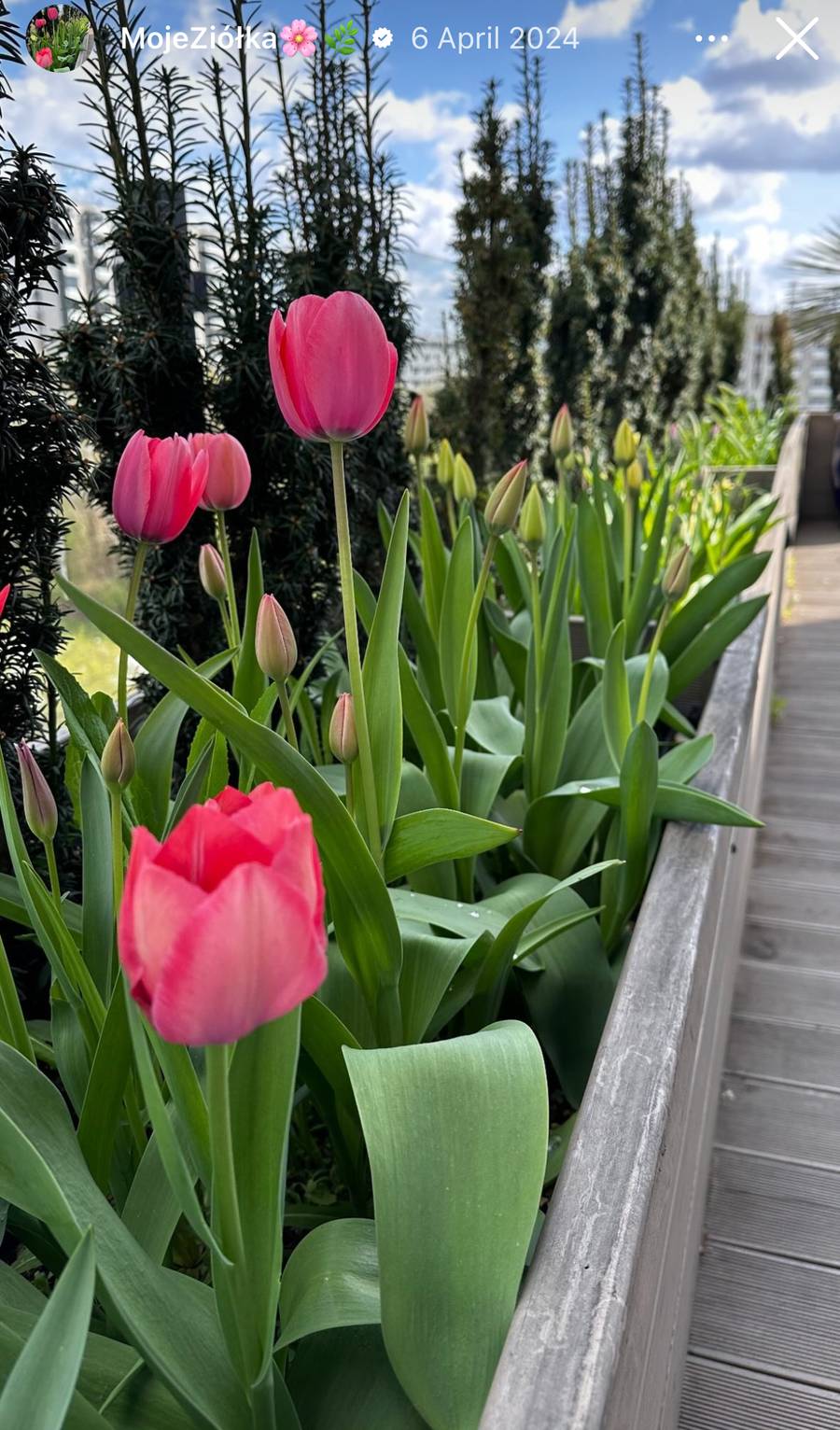 Dom Barbary Kurdej-Szatan, fot. Instagram