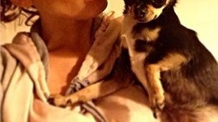 Żona Darka K. wystawiła Górniak surową ocenę