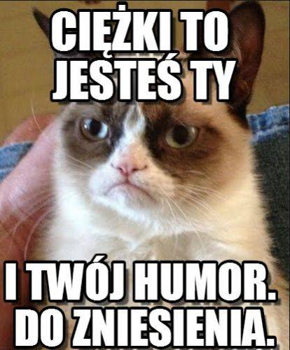 Grumpy Cat – śmieszne obrazki
