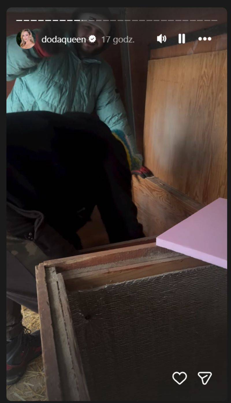 doda pomaga pieskom/Instagram/dodaqueen/