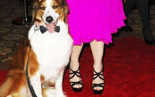 Kristin Davis przebiła samą Holly Madison (FOTO)