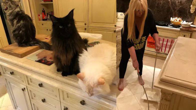 Tak mieszka Maryla Rodowicz. Marmury, złote krany, ale... Coś tam jest nie tak