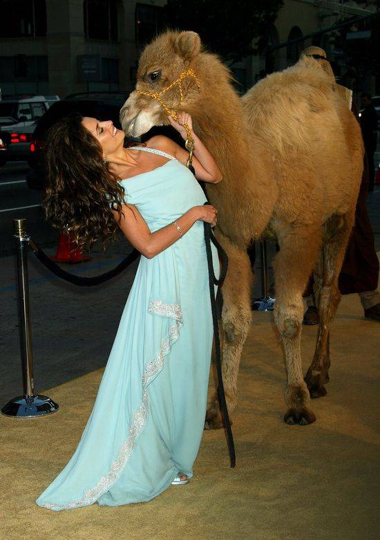 Galeria zdjęć z okazji 40-tych urodzin Penelope Cruz