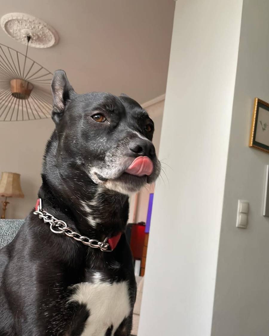 Tak mieszka Michał Szpak