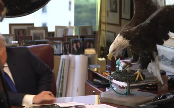 Donald Trump zaatakowany przez orła [VIDEO]