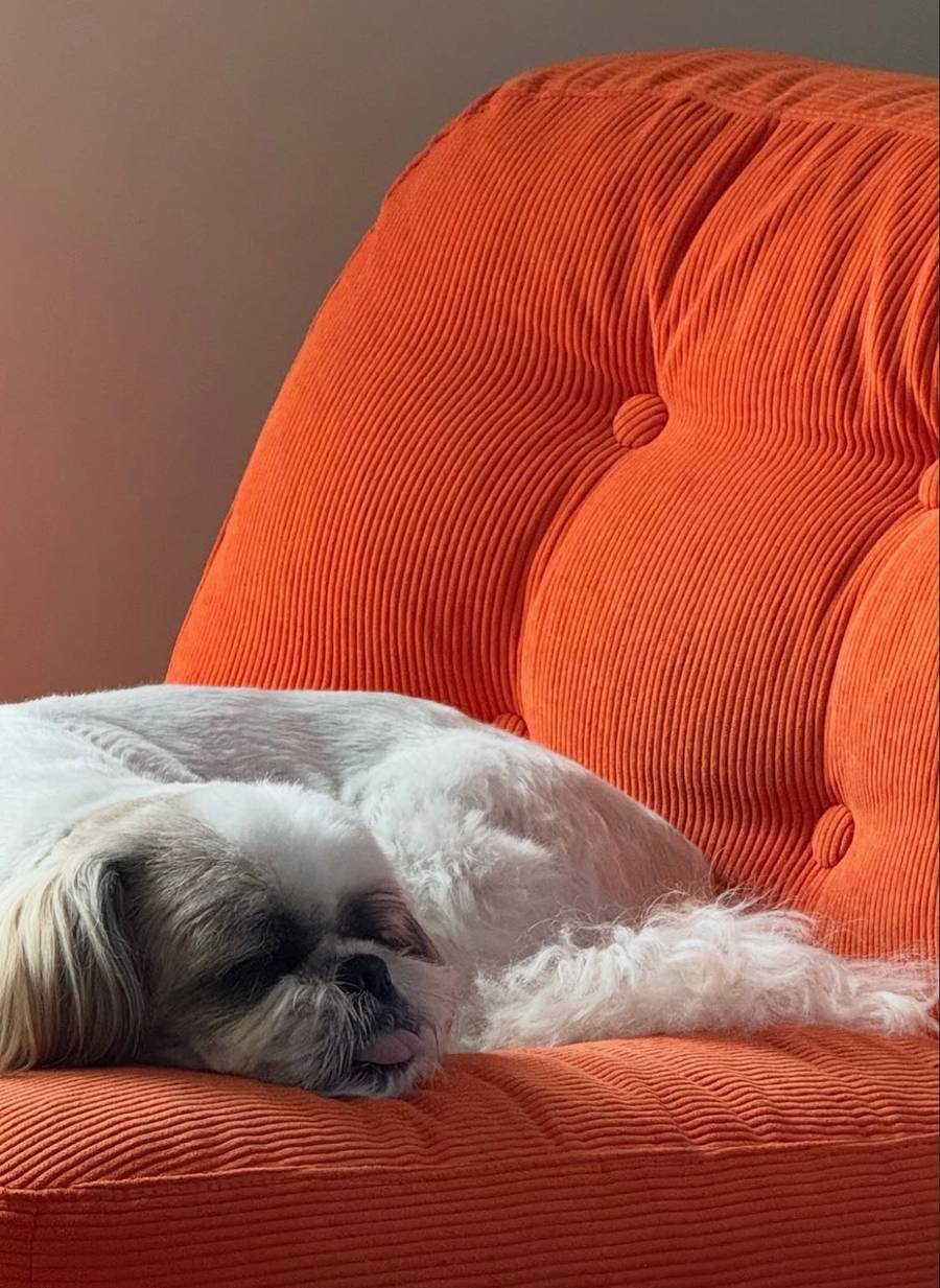 Mieszkanie Izabelli Krzan tonie w luksusach. Drewno i designerskie dodatki