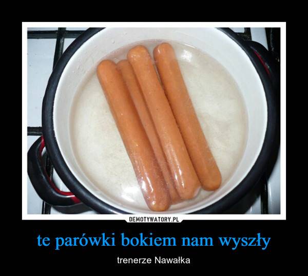 Memy po meczu Polska – Kolumbia