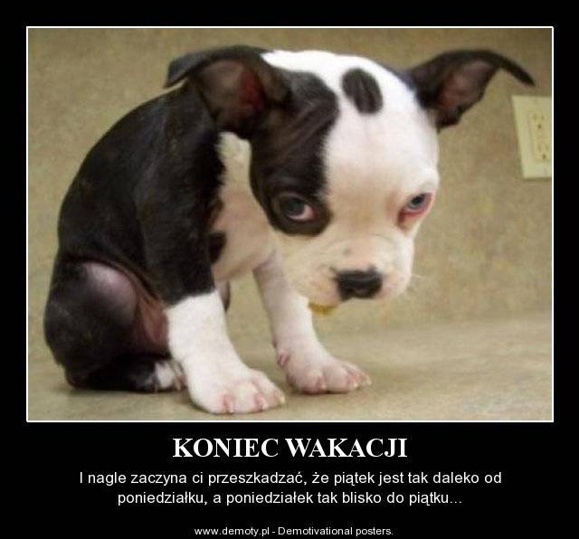 Koniec wakacji…