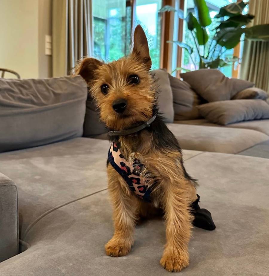 Luksusowa willa Zborowskiej i Wrony. Ten dom robi wrażenie/ Instagram