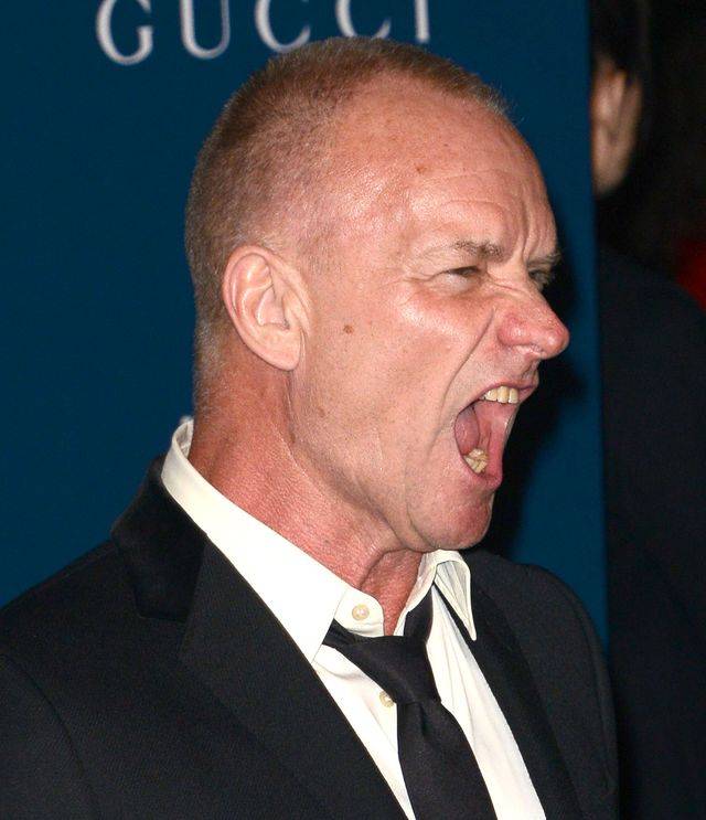 Sting – gwiazda i biznesmen