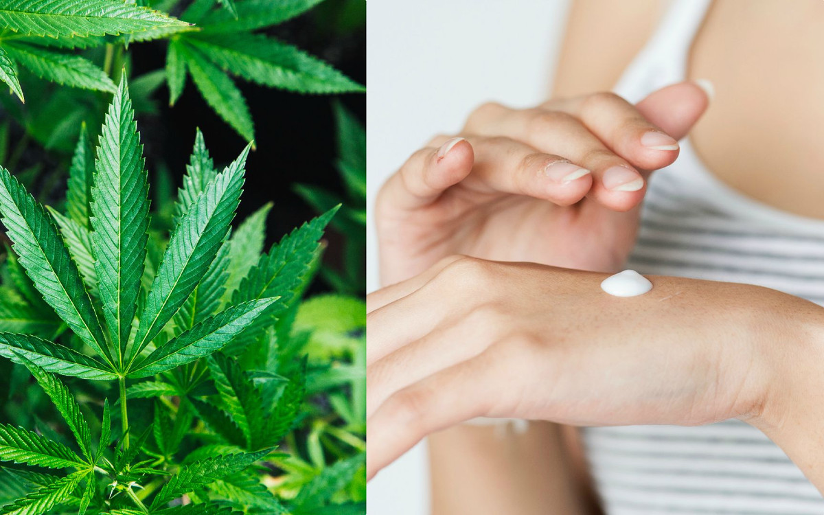 Konopia kojarzy ci się tylko z jednym? Oto jej zaskakujące zastosowanie