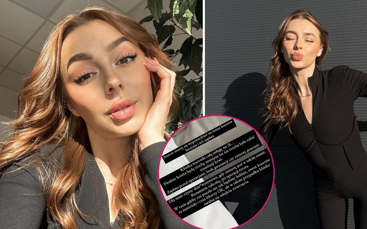 Influencerka chciała zapłacić za leczenie psa reklamą na Instagramie… ,,Dla mnie to s****two”