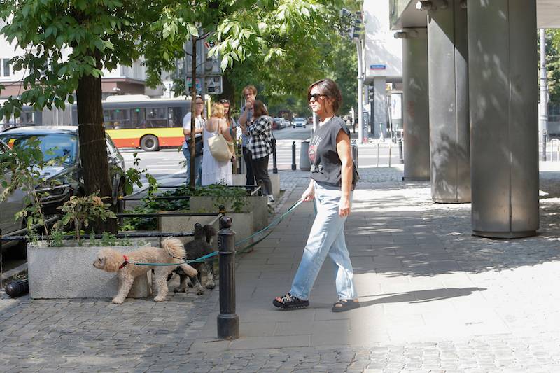 WOW! Julia Kamińska niezwykle elegancka w Dzień Dobry TVN