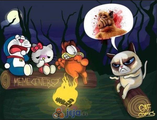 Grumpy Cat – śmieszne obrazki