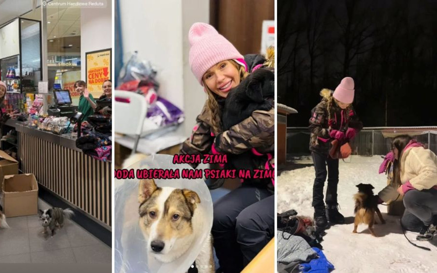 Doda ratuje psy przed mrozem. Rozkręciła wielką akcję, o której mówi cała Polska