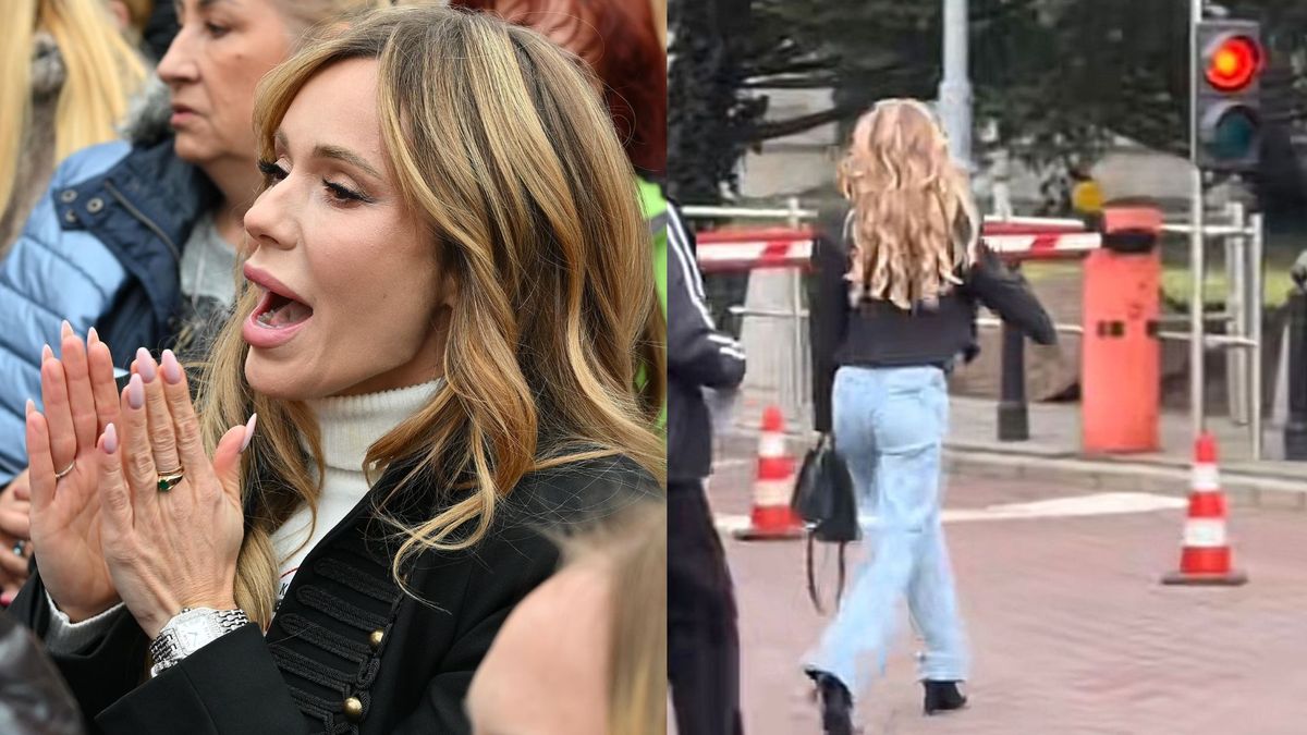 Doda wbiegła do sejmu prostu z ulicy. Od razu narobiła zamieszania, fot. /Kozaczek/TikTok.