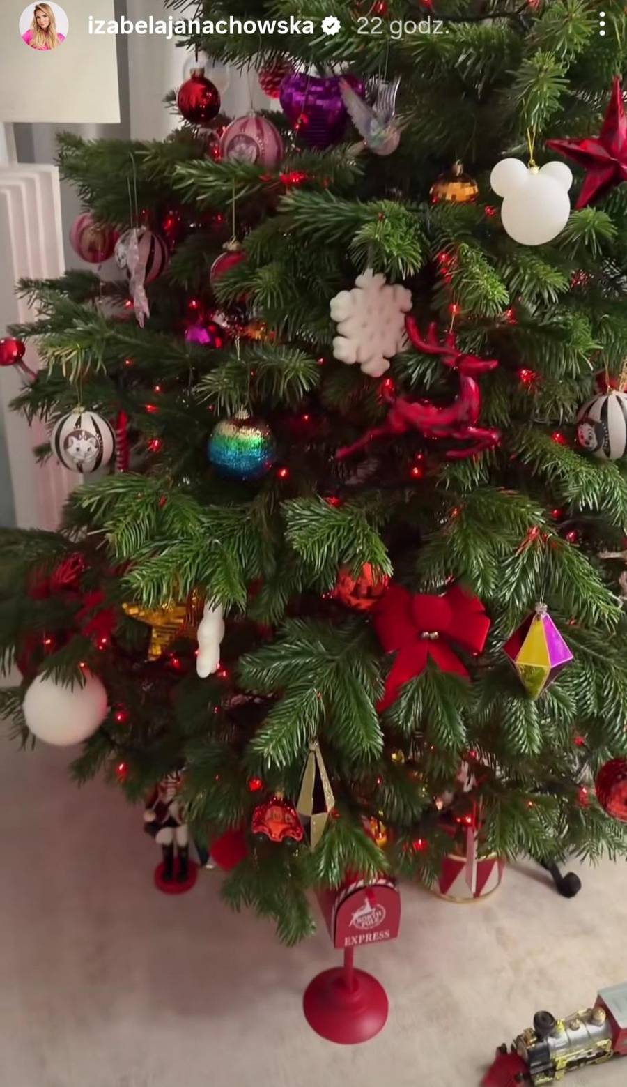 Janachowska pokazała świątecznie udekorowany pokój synka, fot. Instagram