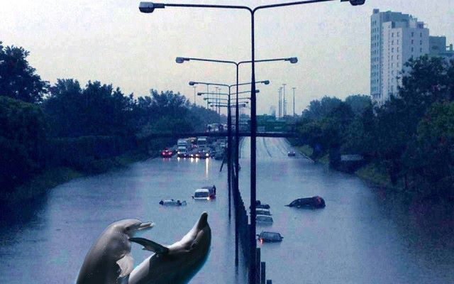 Internauci nabijają się nawet z powodzi (FOTO)