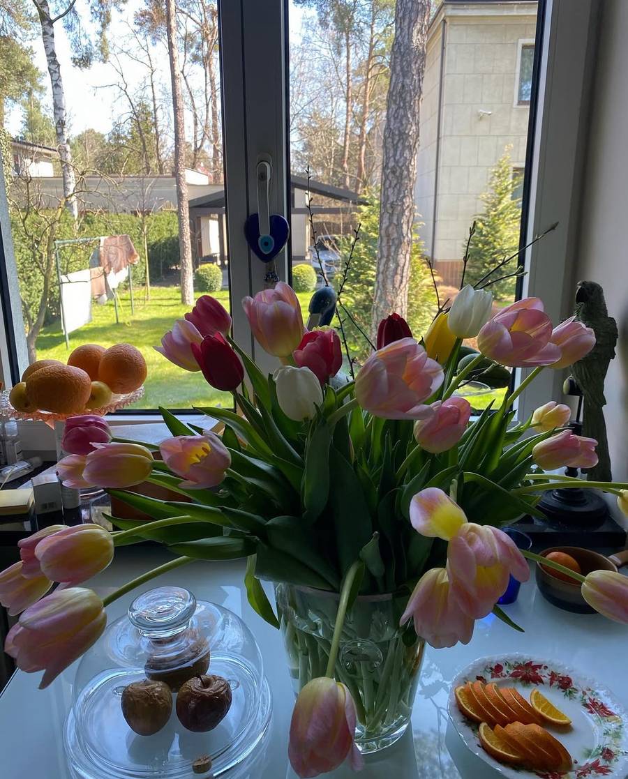 Jak mieszka Grażyna Szapołowska? Czuć elegancję i sztukę, fot. Instagram