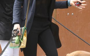 Czyje są te pieski? (FOTO)