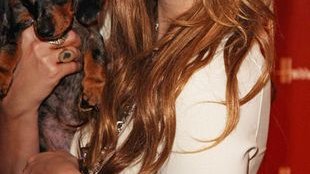 Mischa Barton na oddziale psychiatrycznym!