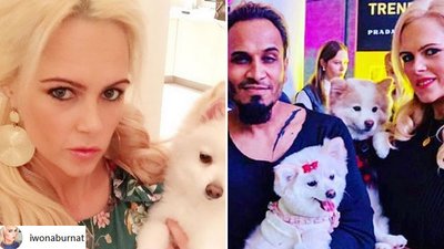 Iwona Burnat z Żon Hollywood zrobiła TO swojemu psu: Puknij się w głowę