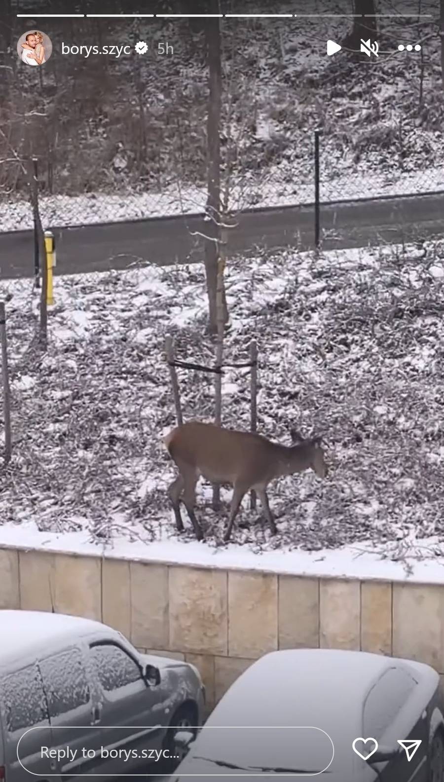 Pierwszy śnieg zawitał u Gwiazd! Halejcio, Pisarek, Lipińska i reszta chwalą się zimowymi fotkami (ZDJĘCIA)