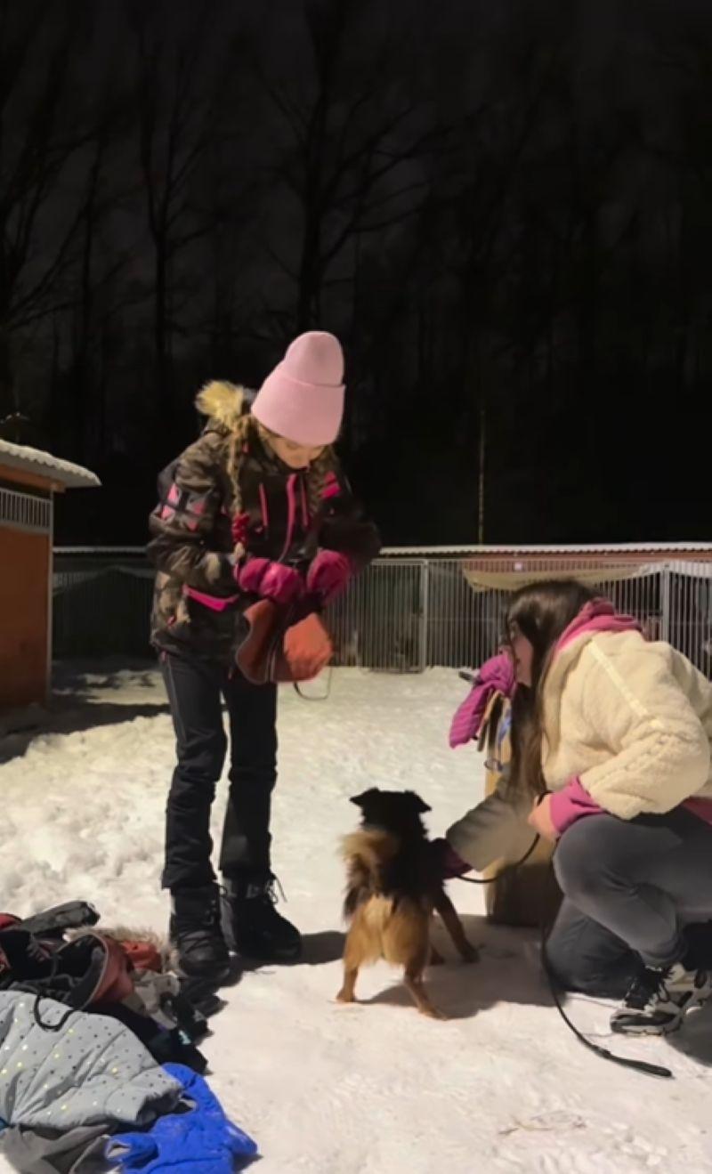 doda pomaga pieskom/Instagram/dodaqueen/