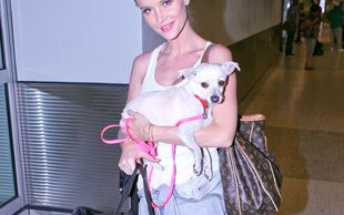 Wiadomość dnia ;) Krupa na lotnisku z psem (FOTO)