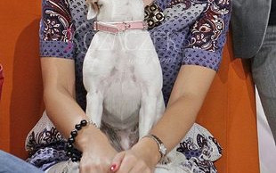 Pocałunek z języczkiem (FOTO)