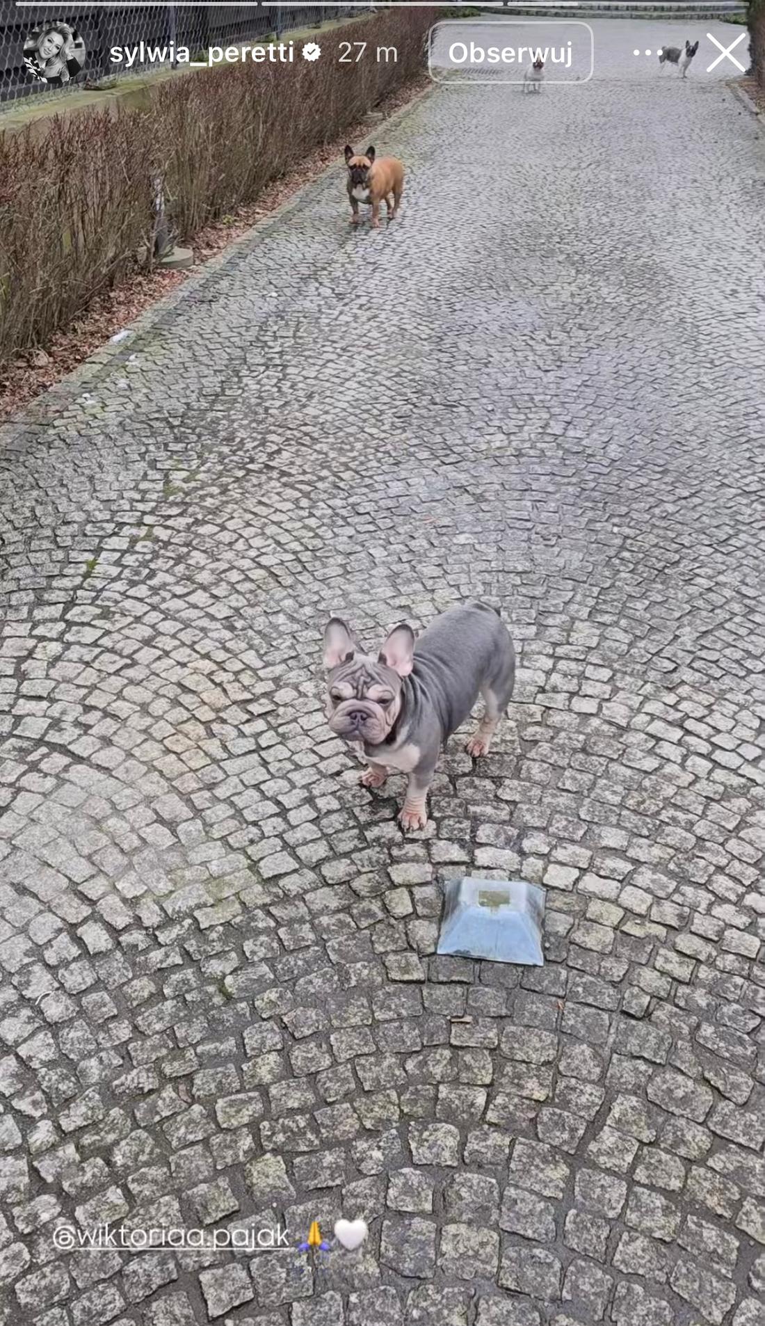 InstaStory Sylwii Peretti, fot. Instagram