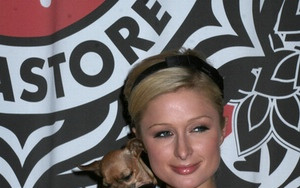 Paris pijana i naćpana!