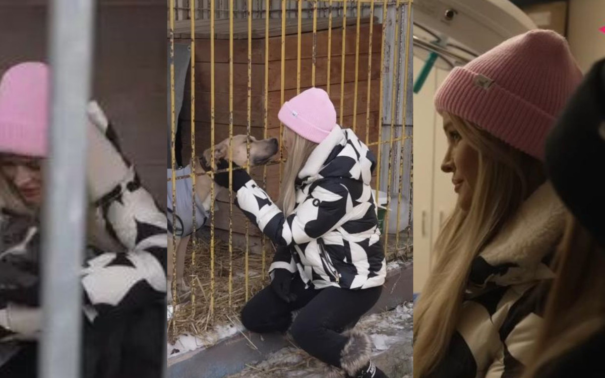 Tylko u nas! Krupa alarmuje z Płocka! Tak wygląda życie psów w schronisku – trzeba działać natychmiast