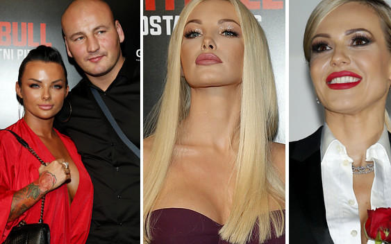 Premiera filmu PITBULL. Ostatni pies – GWIAZDY