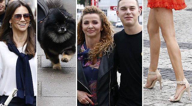 gwiazdy-po-programie-g-R1