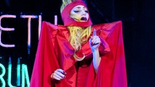 Fanka Lady Gagi zabiła kota na kostium