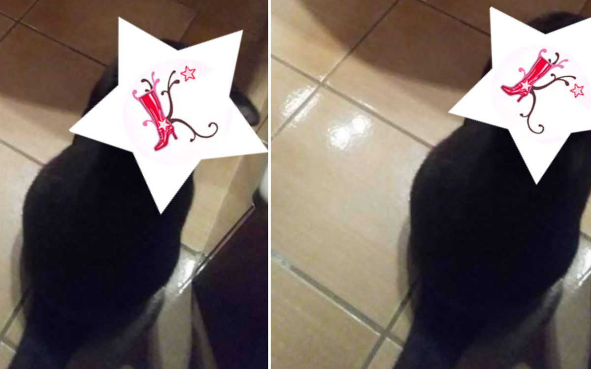 TO zdjęcie to robi furorę w Internecie! Nie zgadniesz, co na nim jest