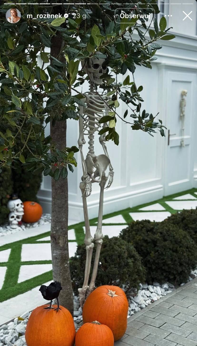 Tak Rozenek udekorowała swoją nową willę! Dynie i zwisające kościotrupy to dopiero początek…(FOTO)