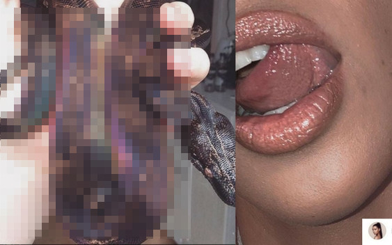 Wąż z tatuażami Kim Kardashian. Fani nie rozumieją jak mogła to zrobić!