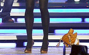 Brodka schnie z tęsknoty