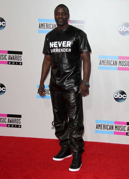 American Music Awards 2013