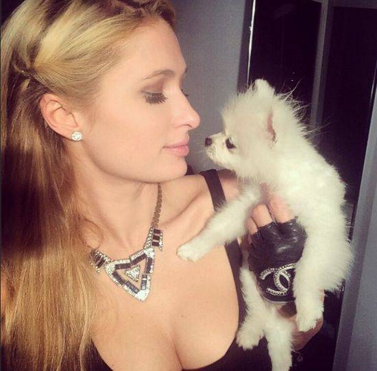 Paris Hilton na instagramie