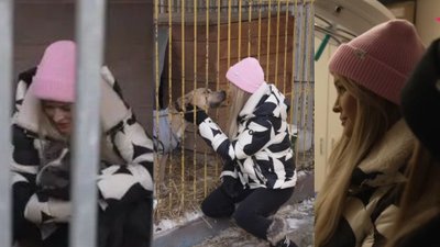 Tylko u nas! Krupa alarmuje z Płocka! Tak wygląda życie psów w schronisku – trzeba działać natychmiast