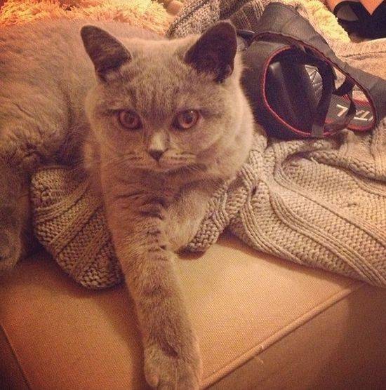 Anna Wendzikowska na instagramie