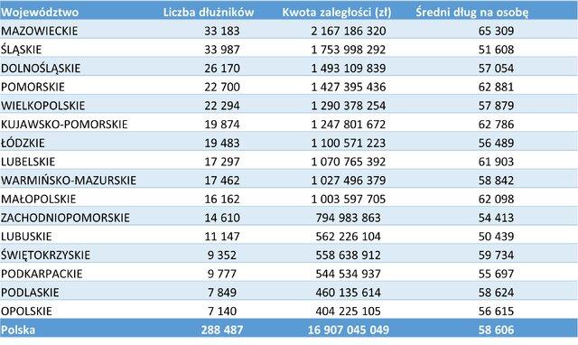 Rejestr Dłużników BIG InfoMonitor