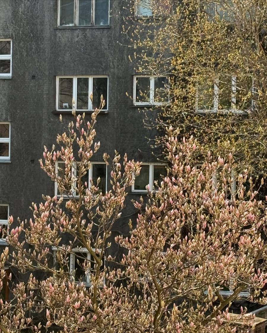 Izabella Krzan, fot. Instagram.