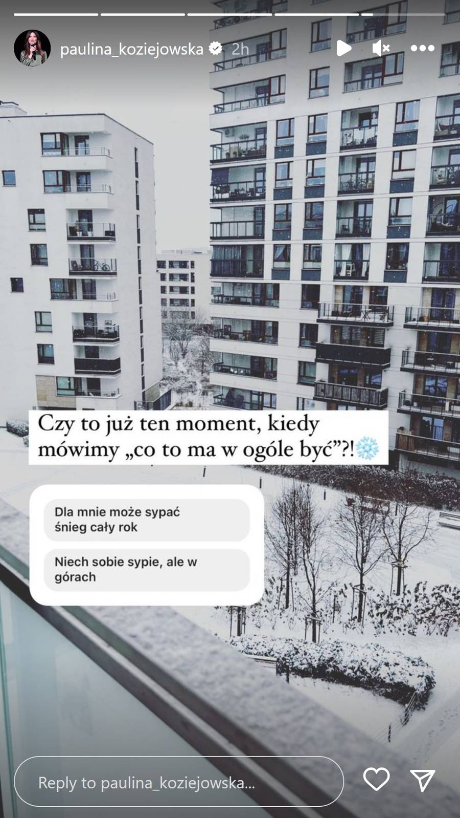 Pierwszy śnieg zawitał u Gwiazd! Halejcio, Pisarek, Lipińska i reszta chwalą się zimowymi fotkami (ZDJĘCIA)