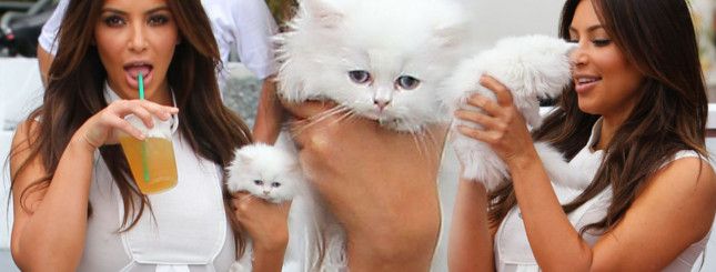 kim-kardashian-z-kotem-R1